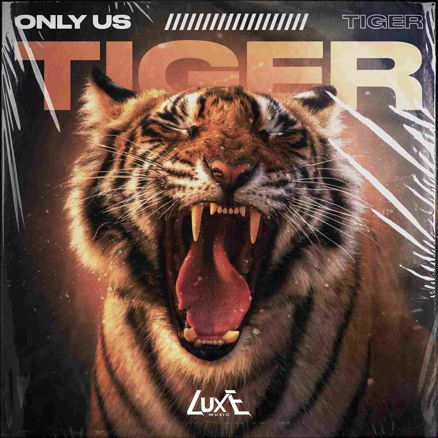 Album Logo